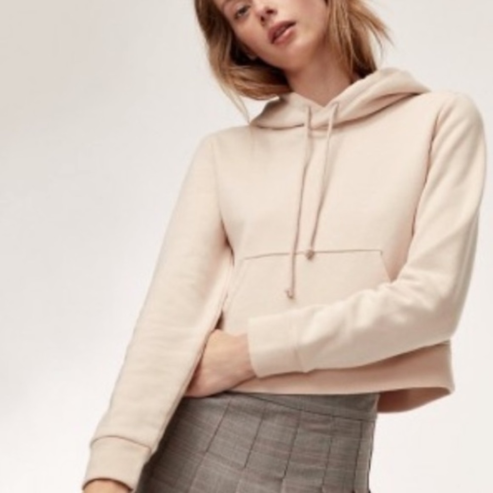 Aritzia Sunday Best Montoya Cropped Hoodie